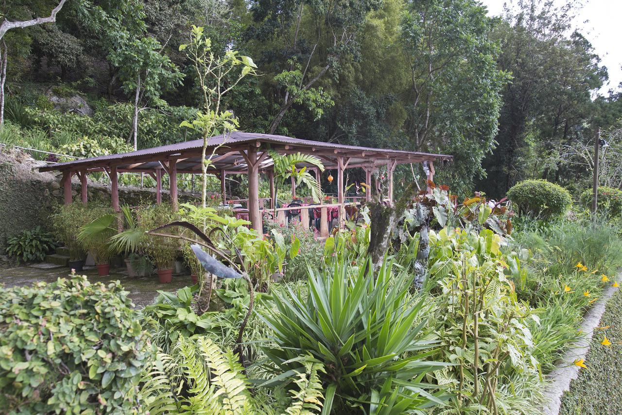 Barbecue Heritage Gardens Cottage - JM Newcastle Buitenkant foto