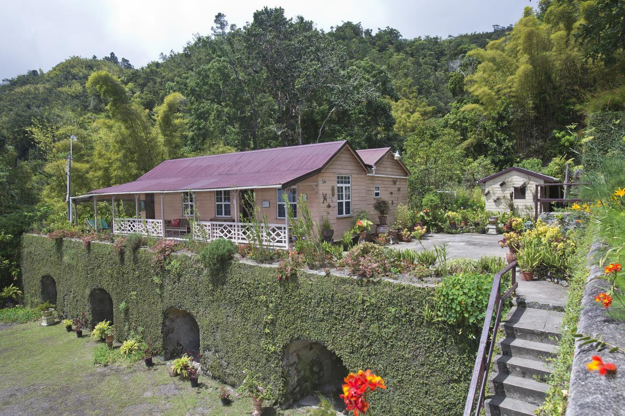 Barbecue Heritage Gardens Cottage - JM Newcastle Buitenkant foto